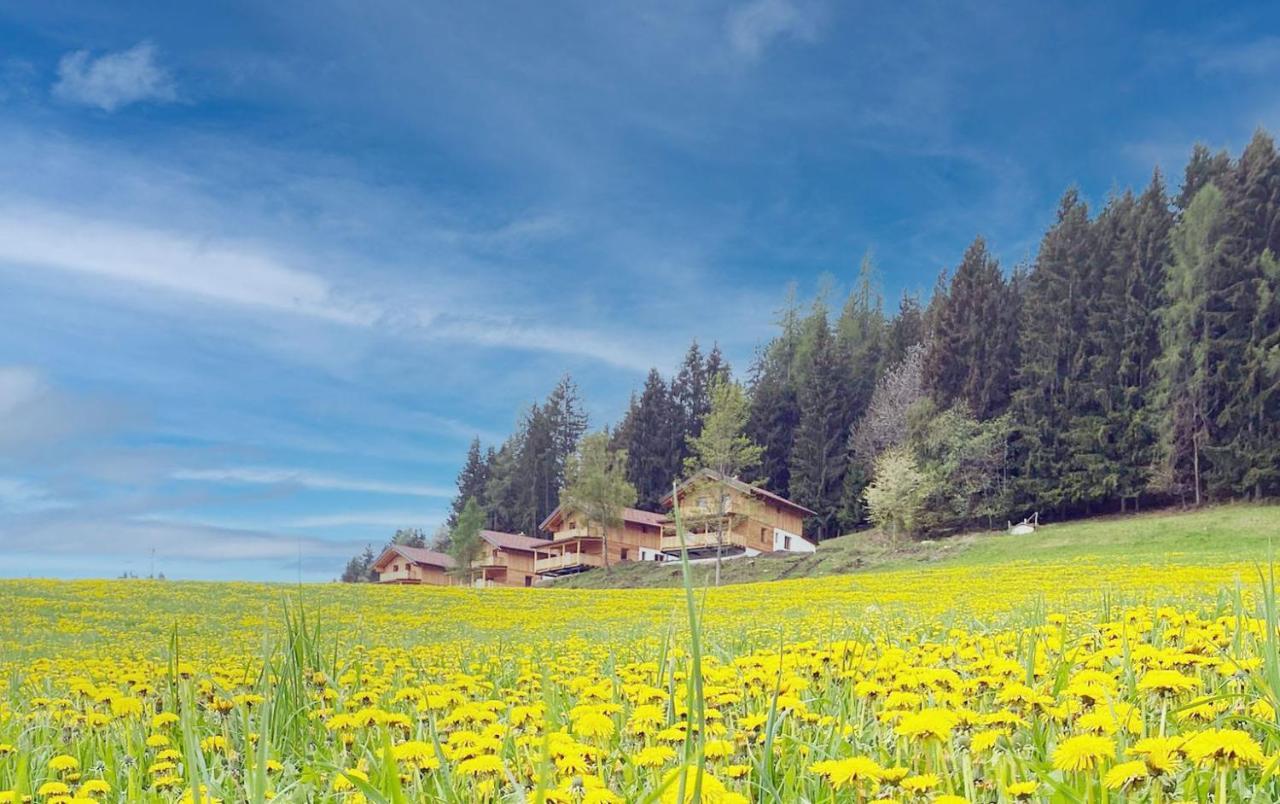 Hochleben-Chalets Am Erlebnisbauernhof Steinerhof Liebenfels Экстерьер фото