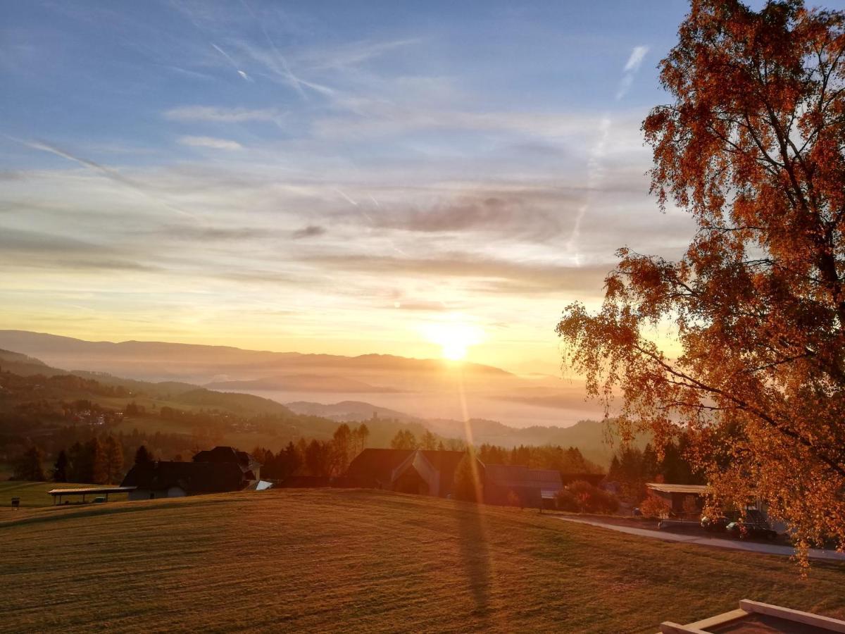 Hochleben-Chalets Am Erlebnisbauernhof Steinerhof Liebenfels Экстерьер фото