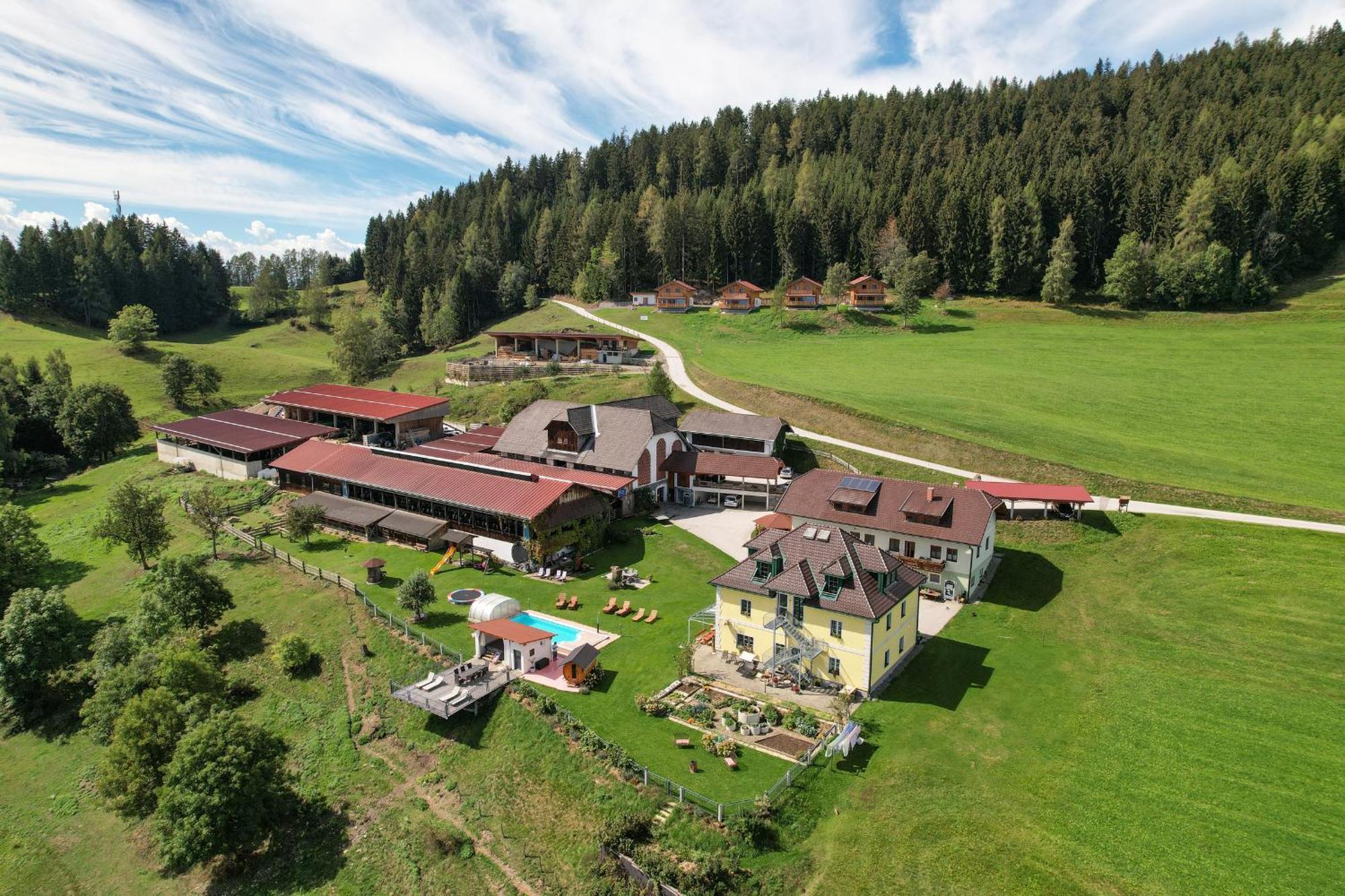 Hochleben-Chalets Am Erlebnisbauernhof Steinerhof Liebenfels Экстерьер фото